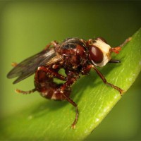 /album/rosita-ortiz/photolia-a06-jpg/