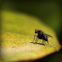 /album/rosita-ortiz/photolia-a07-jpg/